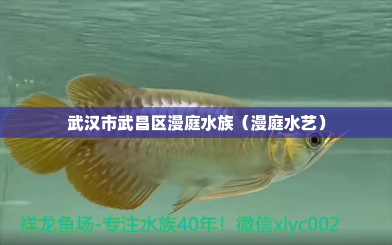 武汉市武昌区漫庭水族（漫庭水艺） 全国水族馆企业名录