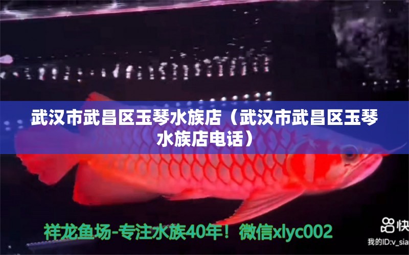 武汉市武昌区玉琴水族店（武汉市武昌区玉琴水族店电话） 全国水族馆企业名录