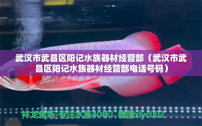 武汉市武昌区阳记水族器材经营部（武汉市武昌区阳记水族器材经营部电话号码）