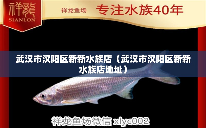 武汉市汉阳区新新水族店（武汉市汉阳区新新水族店地址） 全国水族馆企业名录