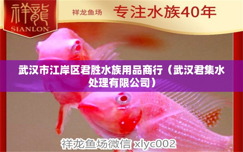 武汉市江岸区君胜水族用品商行（武汉君集水处理有限公司） 水族用品