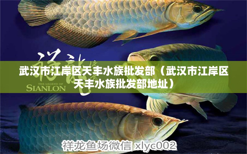 武汉市江岸区天丰水族批发部（武汉市江岸区天丰水族批发部地址） 全国水族馆企业名录