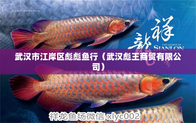 武汉市江岸区彪彪鱼行（武汉彪王商贸有限公司） 全国水族馆企业名录