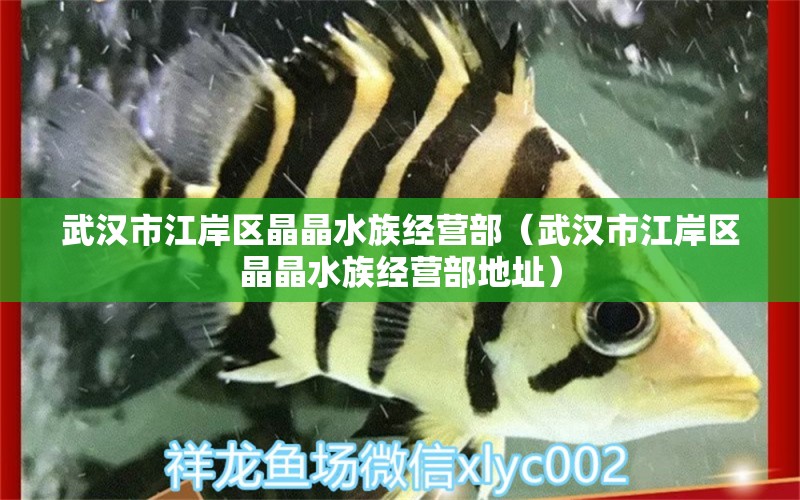 武汉市江岸区晶晶水族经营部（武汉市江岸区晶晶水族经营部地址） 全国水族馆企业名录