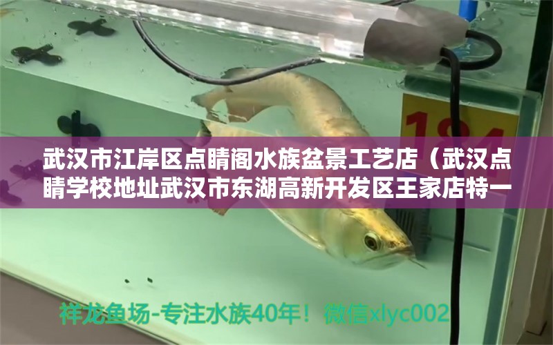 武汉市江岸区点睛阁水族盆景工艺店（武汉点睛学校地址武汉市东湖高新开发区王家店特一号）