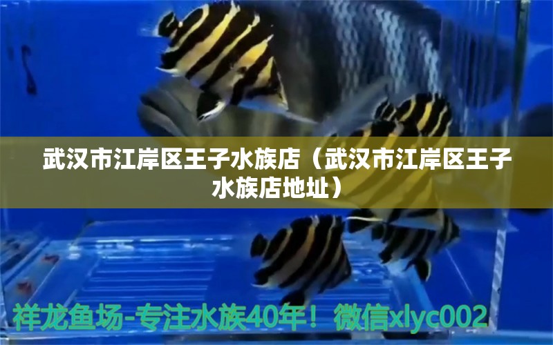 武汉市江岸区王子水族店（武汉市江岸区王子水族店地址） 全国水族馆企业名录