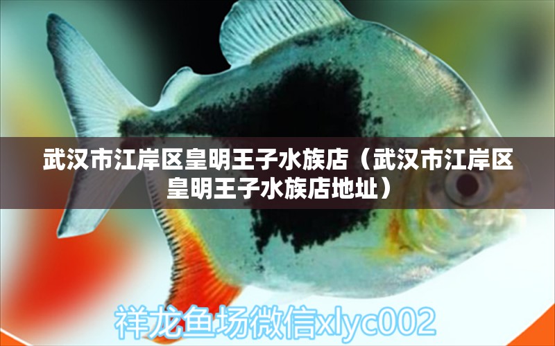 武汉市江岸区皇明王子水族店（武汉市江岸区皇明王子水族店地址） 全国水族馆企业名录