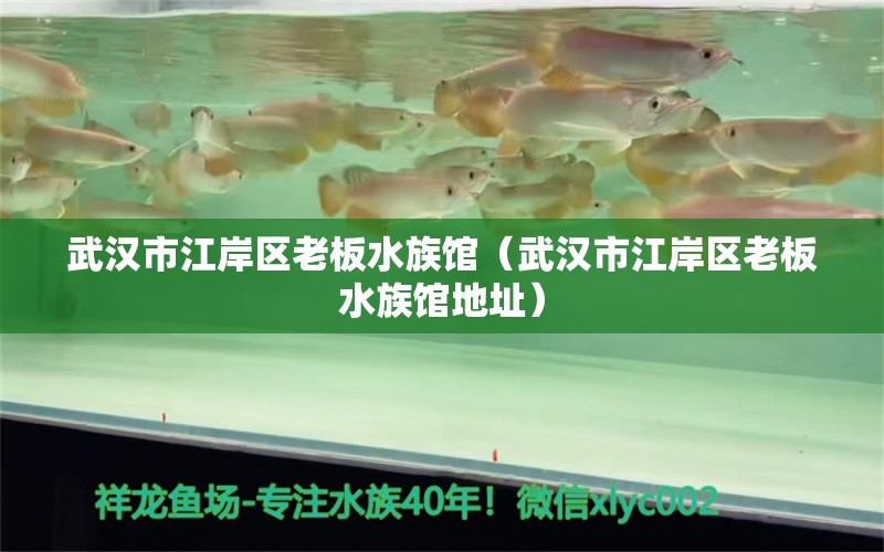 武汉市江岸区老板水族馆（武汉市江岸区老板水族馆地址）