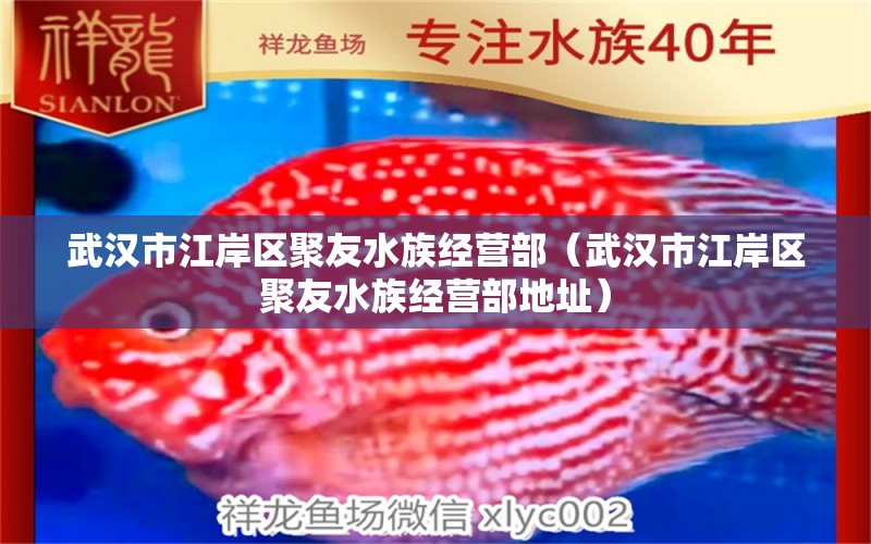 武汉市江岸区聚友水族经营部（武汉市江岸区聚友水族经营部地址） 全国水族馆企业名录