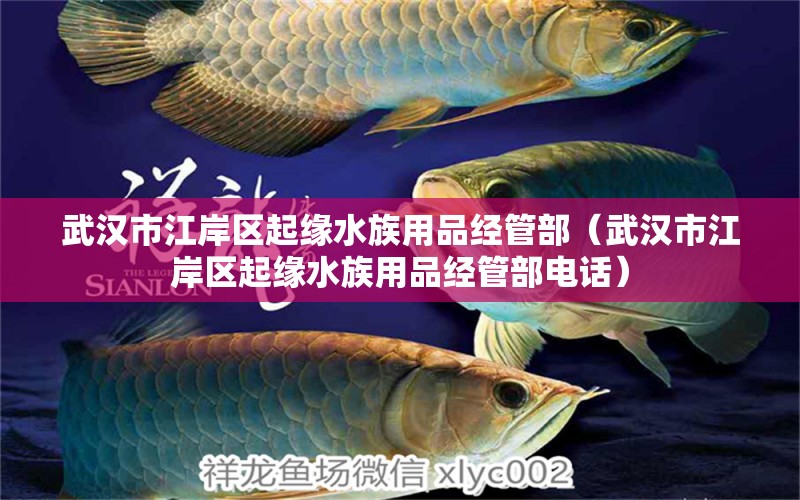 武汉市江岸区起缘水族用品经管部（武汉市江岸区起缘水族用品经管部电话）