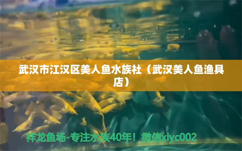 武汉市江汉区美人鱼水族社（武汉美人鱼渔具店）