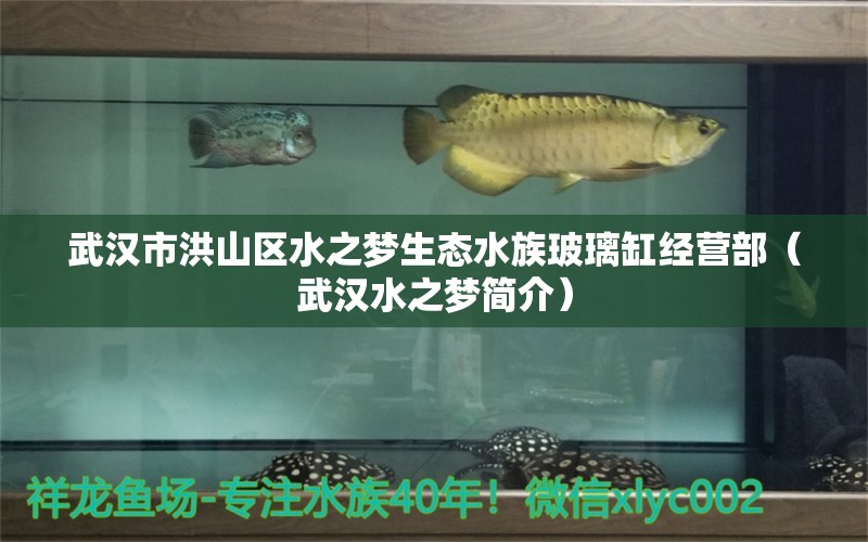 武汉市洪山区水之梦生态水族玻璃缸经营部（武汉水之梦简介）