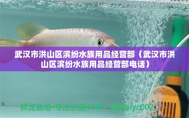 武汉市洪山区滨纷水族用品经营部（武汉市洪山区滨纷水族用品经营部电话）