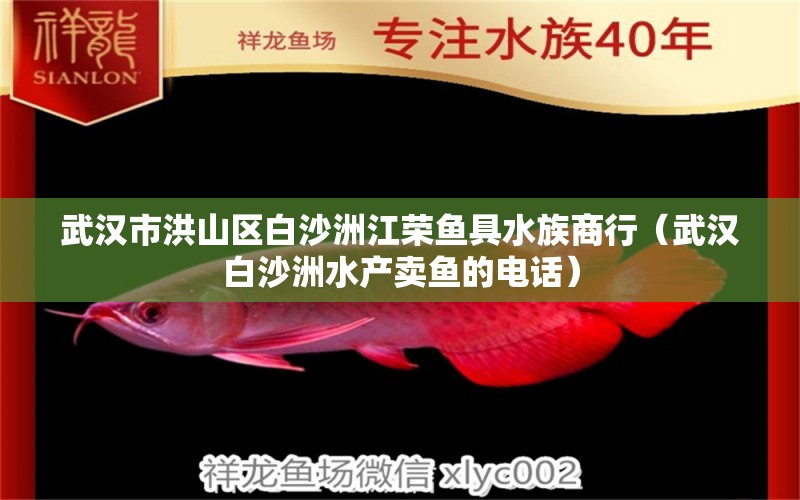 武汉市洪山区白沙洲江荣鱼具水族商行（武汉白沙洲水产卖鱼的电话）