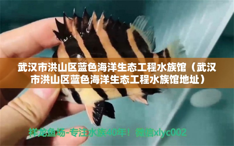 武汉市洪山区蓝色海洋生态工程水族馆（武汉市洪山区蓝色海洋生态工程水族馆地址）