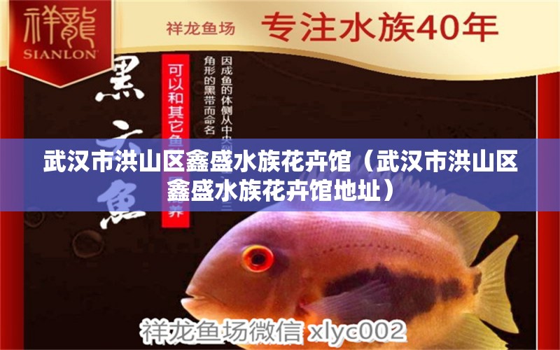 武汉市洪山区鑫盛水族花卉馆（武汉市洪山区鑫盛水族花卉馆地址） 全国水族馆企业名录