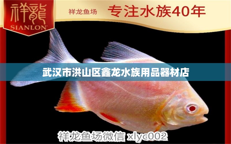 武汉市洪山区鑫龙水族用品器材店 水族用品