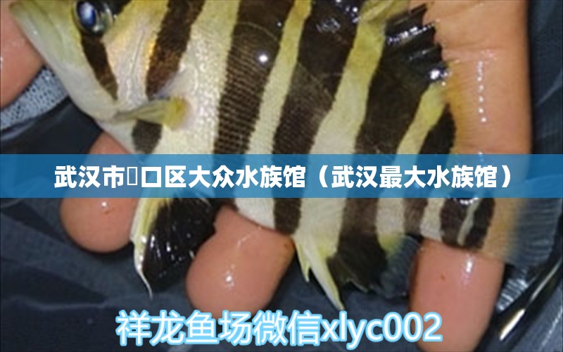 武汉市硚口区大众水族馆（武汉最大水族馆）