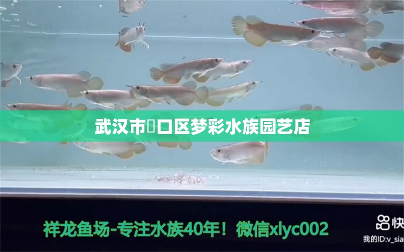 武汉市硚口区梦彩水族园艺店