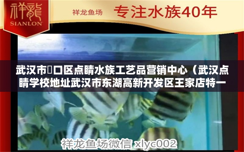 武汉市硚口区点睛水族工艺品营销中心（武汉点睛学校地址武汉市东湖高新开发区王家店特一号）