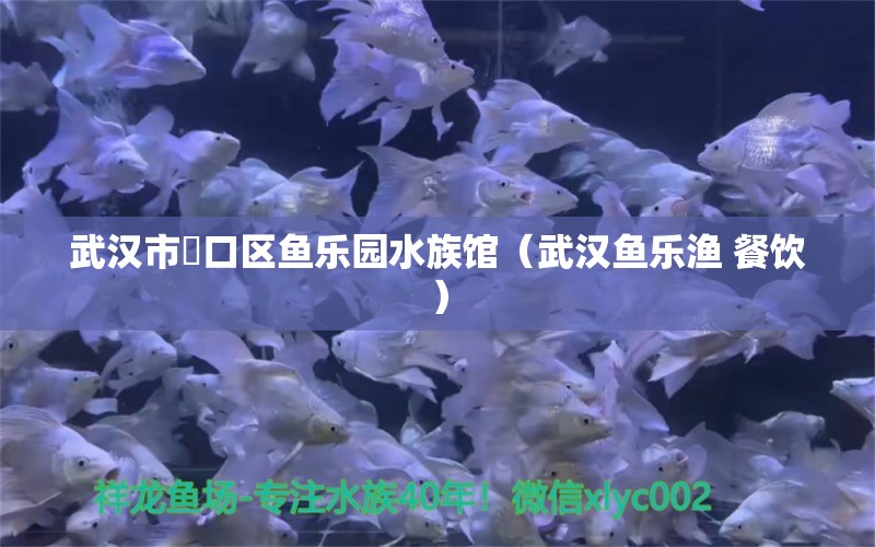 武汉市硚口区鱼乐园水族馆（武汉鱼乐渔 餐饮） 全国水族馆企业名录