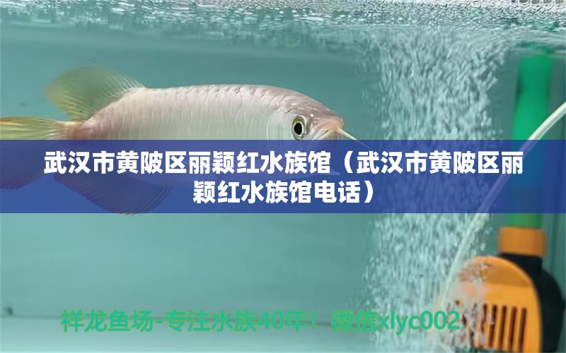 武汉市黄陂区丽颖红水族馆（武汉市黄陂区丽颖红水族馆电话） 全国水族馆企业名录