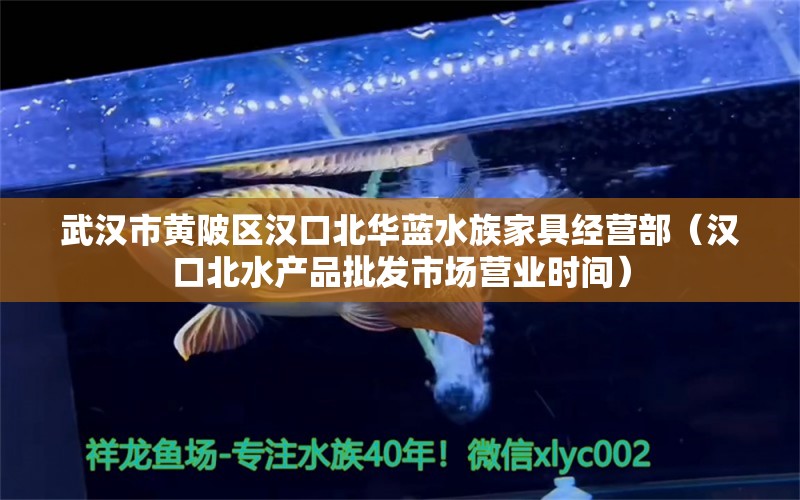 武汉市黄陂区汉口北华蓝水族家具经营部（汉口北水产品批发市场营业时间） 全国水族馆企业名录