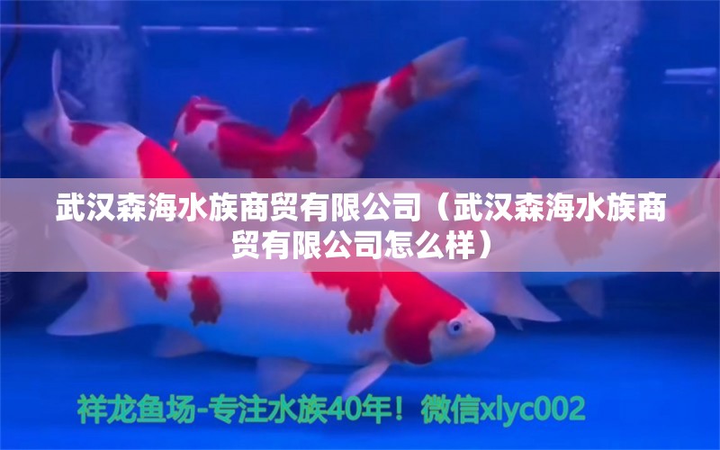 武汉森海水族商贸有限公司（武汉森海水族商贸有限公司怎么样） 全国水族馆企业名录