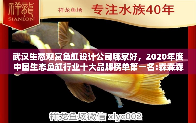 武汉生态观赏鱼缸设计公司哪家好，2020年度中国生态鱼缸行业十大品牌榜单第一名:森森森森 定时器/自控系统 第1张