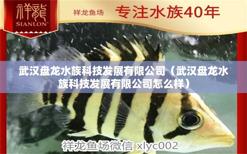 武汉盘龙水族科技发展有限公司（武汉盘龙水族科技发展有限公司怎么样）