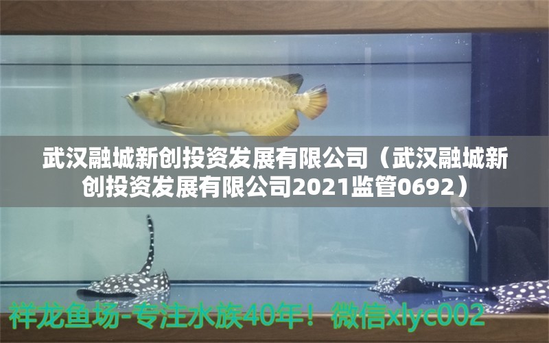 武汉融城新创投资发展有限公司（武汉融城新创投资发展有限公司2021监管0692）