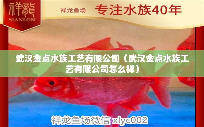 武汉金点水族工艺有限公司（武汉金点水族工艺有限公司怎么样）