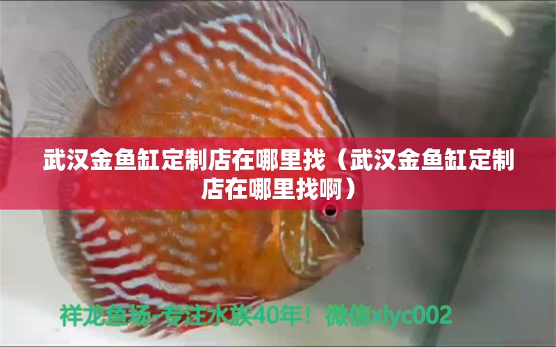 武汉金鱼缸定制店在哪里找（武汉金鱼缸定制店在哪里找啊） 观赏鱼市场（混养鱼）