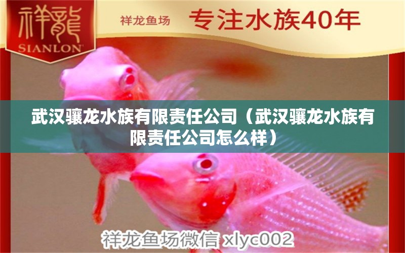 武汉骧龙水族有限责任公司（武汉骧龙水族有限责任公司怎么样）