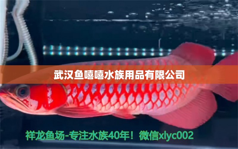 武汉鱼嘻嘻水族用品有限公司