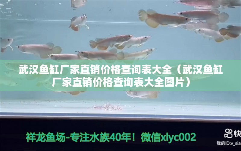 武汉鱼缸厂家直销价格查询表大全（武汉鱼缸厂家直销价格查询表大全图片）