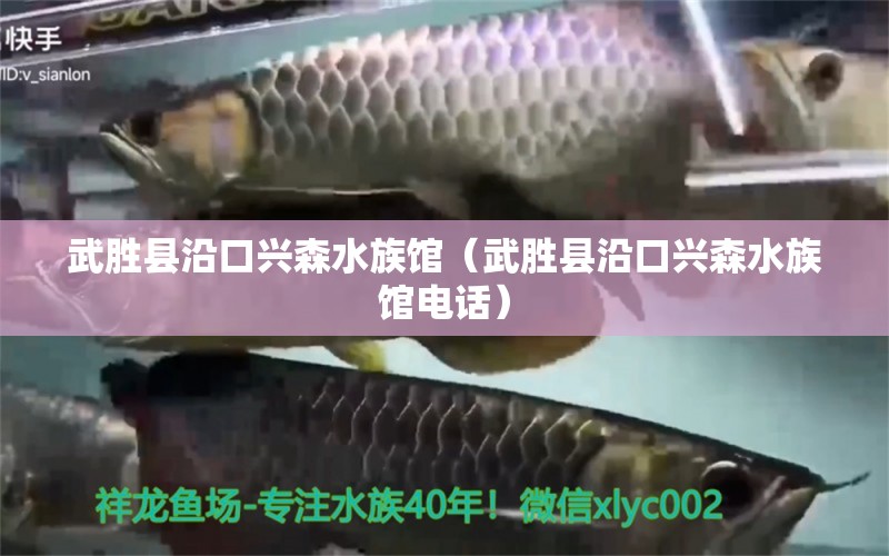 武胜县沿口兴森水族馆（武胜县沿口兴森水族馆电话） 全国水族馆企业名录