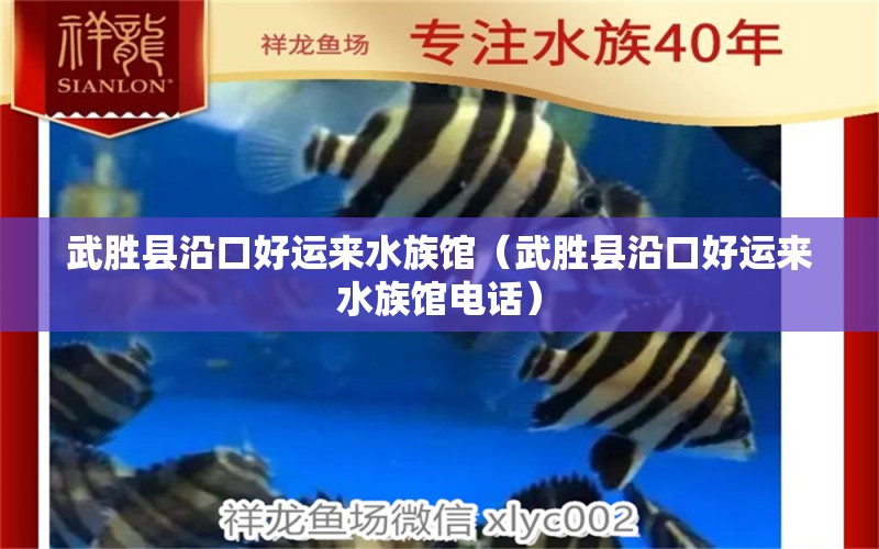 武胜县沿口好运来水族馆（武胜县沿口好运来水族馆电话）