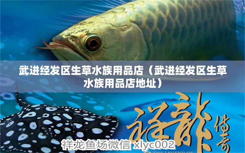 武进经发区生草水族用品店（武进经发区生草水族用品店地址） 水族用品