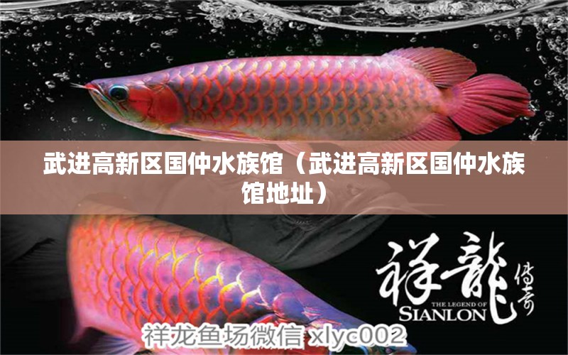 武进高新区国仲水族馆（武进高新区国仲水族馆地址）