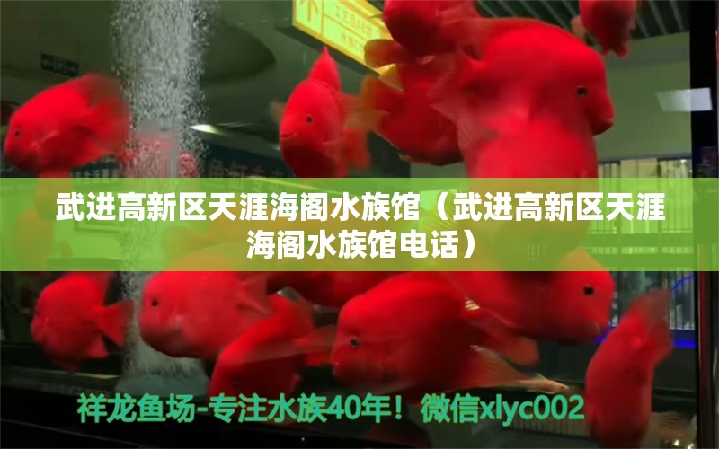 武进高新区天涯海阁水族馆（武进高新区天涯海阁水族馆电话） 全国水族馆企业名录