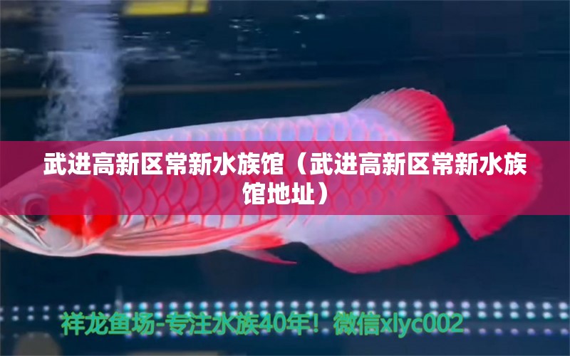 武进高新区常新水族馆（武进高新区常新水族馆地址）