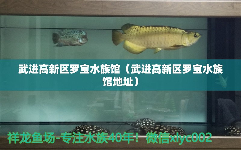 武进高新区罗宝水族馆（武进高新区罗宝水族馆地址）