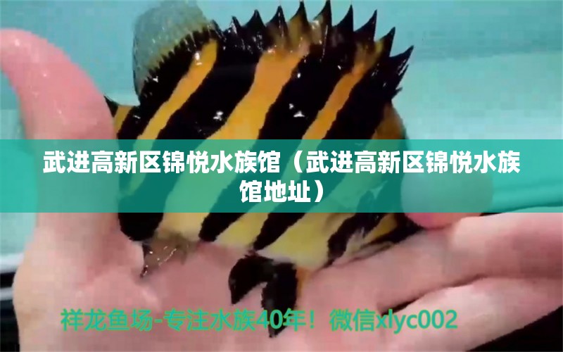 武进高新区锦悦水族馆（武进高新区锦悦水族馆地址） 全国水族馆企业名录