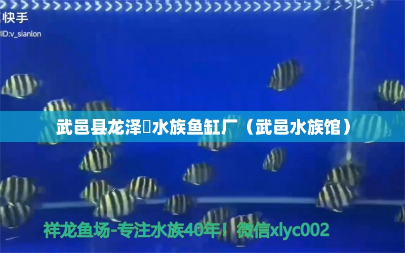 武邑县龙泽淏水族鱼缸厂（武邑水族馆） 全国水族馆企业名录