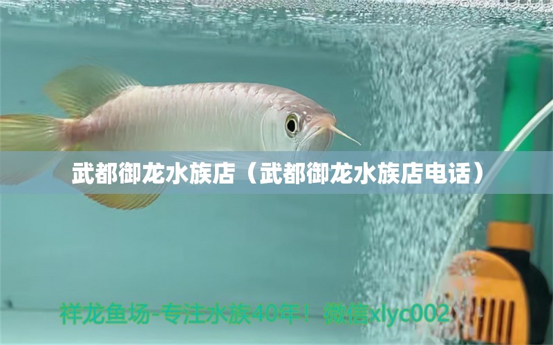 武都御龙水族店（武都御龙水族店电话）