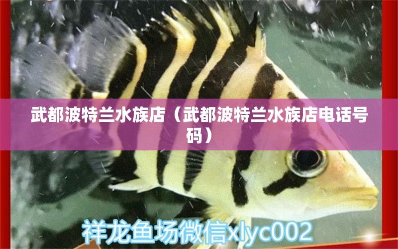 武都波特兰水族店（武都波特兰水族店电话号码） 全国水族馆企业名录