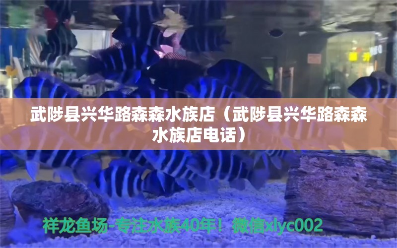 武陟县兴华路森森水族店（武陟县兴华路森森水族店电话）