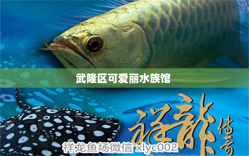 武隆区可爱丽水族馆  全国水族馆企业名录 第1张