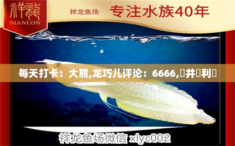 每天打卡：大熊,龙巧儿评论：6666,蒼井瑪利亞 观赏鱼论坛 第2张